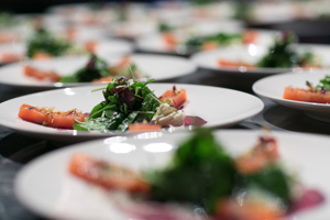 grüner Salat auf weißen runden Tellern